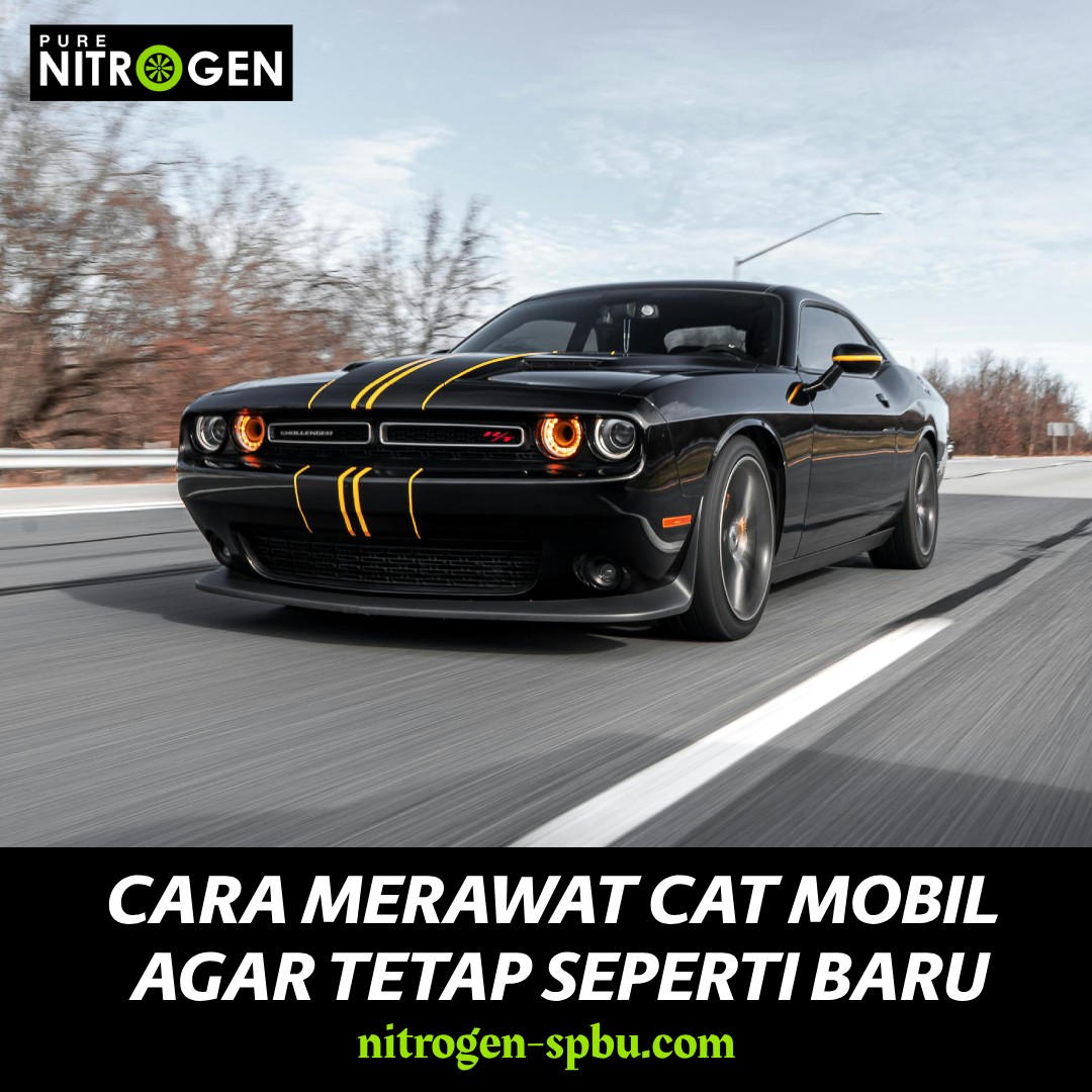 You are currently viewing Cara Merawat Cat Mobil Agar Tetap Bagus